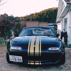 ロードスター NA8C