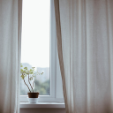 Potted plants next to the window