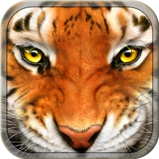 Tiger Simulator 3D Wildlife icon