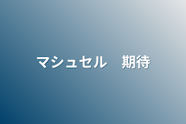 マシュセル　期待