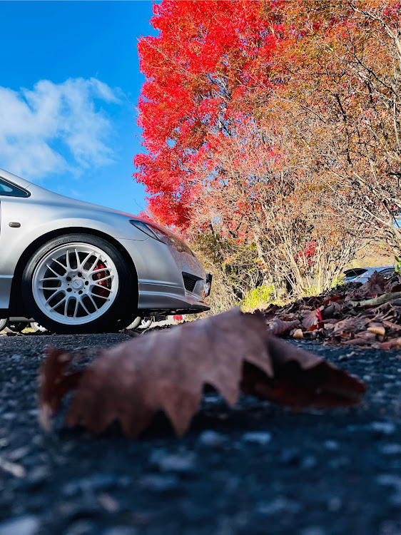 シビックタイプRの紅葉と愛車に関するカスタム事例の投稿画像1枚目