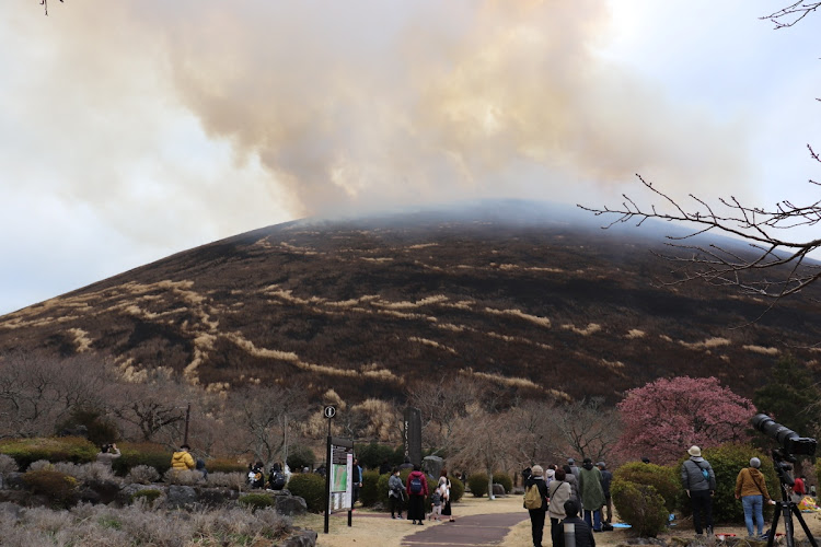 RX-7のカメ活・ドライブ・河津桜とコラボ・大室山山焼きに関するカスタム事例の投稿画像5枚目