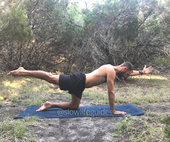 best yoga poses for core strength - bird dog