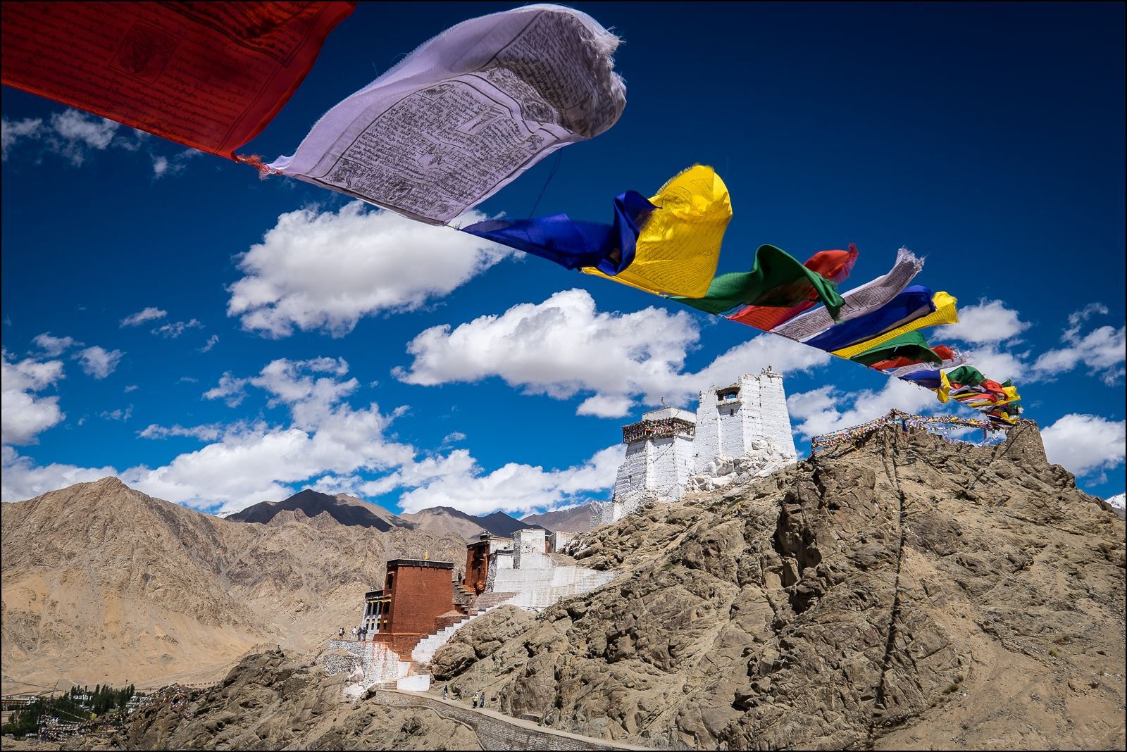 festivals celebrated in Ladakh