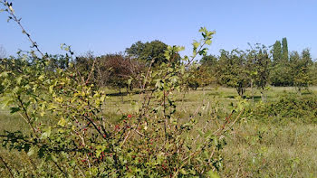 terrain à Laudun-l'Ardoise (30)