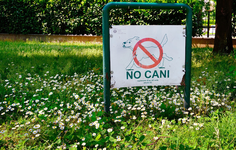 Qui, meglio darsela a gambe! di Rossella13