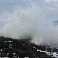 老船長平價海鮮