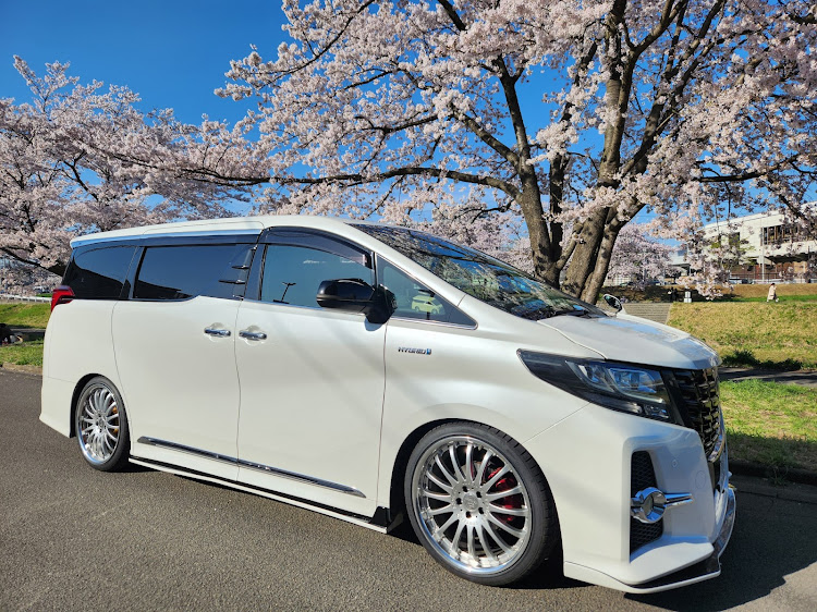 アルファードのmidnight-family・サクラと愛車・入学式に関するカスタム事例の投稿画像2枚目