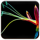 Colorful Flower Chrome extension download