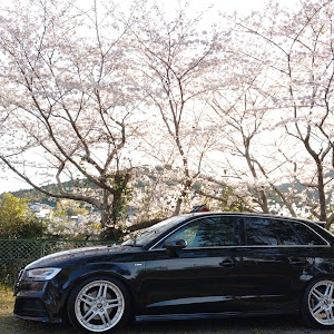 A3 スポーツバック 8VCXS