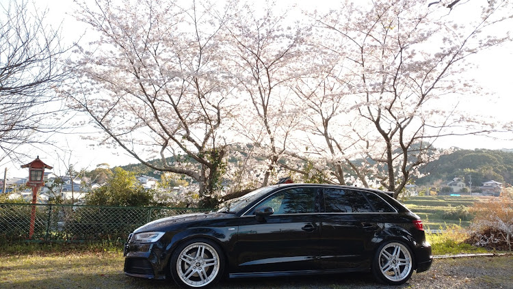 A3 スポーツバックのアウディ・アウディのある生活・桜とコラボ・愛犬と愛車に関するカスタム事例の投稿画像1枚目