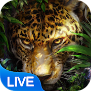 Leopard Live Wallpaper 1.2.2 Icon