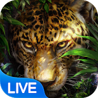 Leopard Live Wallpaper