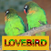 Master Kicau Lovebird icon