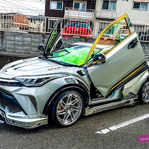 C-HR ZYX11