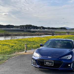 BRZ ZC6