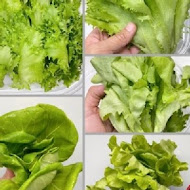 NICE GREEN 美蔬菜廚房(忠孝店)