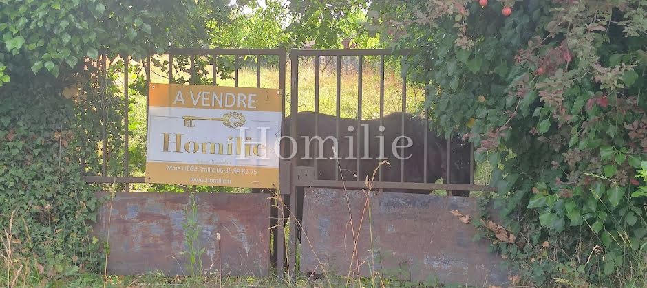 Vente terrain  1766 m² à Faverolles-sur-Cher (41400), 33 000 €