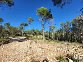 terrain à Puget-Ville (83)