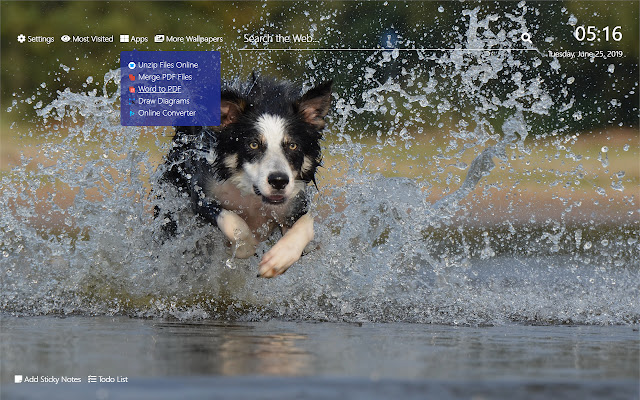 Sheep Dog Wallpaper HD New Tab Theme