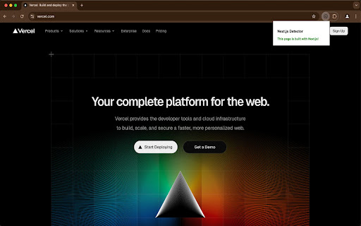Next.js Detector