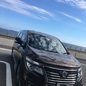 エルグランド TNE52