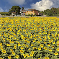 Fra terra e cielo di alagnol