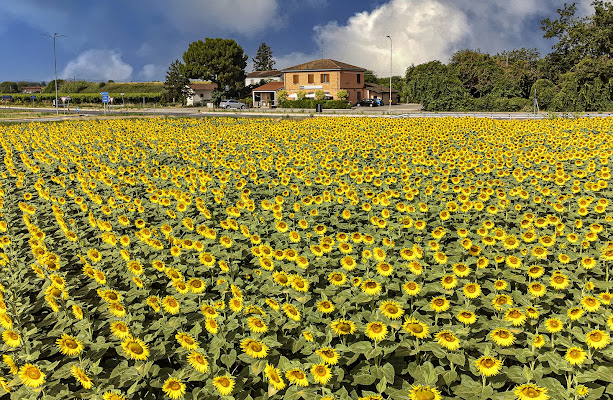 Fra terra e cielo di alagnol