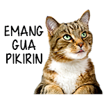 Cover Image of ダウンロード Stiker Kucing Lucu WAStickerApps 1.1.0 APK