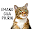 Stiker Kucing Lucu WAStickerApps Download on Windows