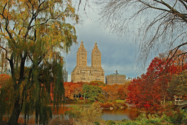 Autumn in New York di sciakka