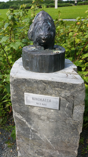 Ringkatta