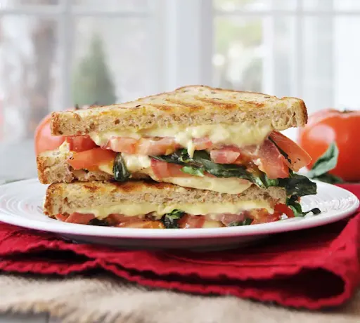 Veg Cheese Grilled Sandwich