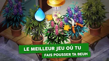 Hempire Weed Growing Game v1.9.2