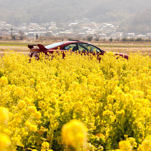 セリカ