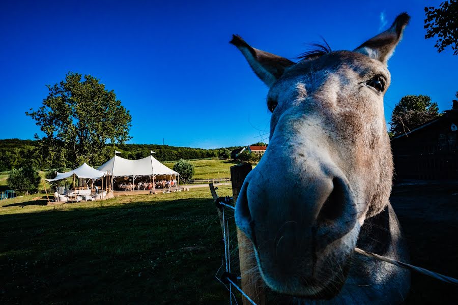 Bröllopsfotograf Kristof Claeys (kristofclaeys). Foto av 20 juli 2022