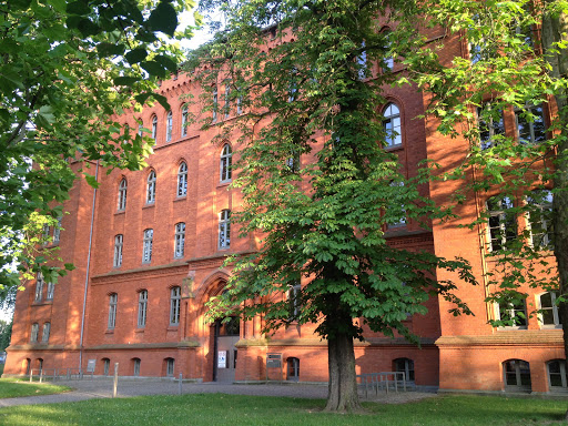 Neues Rathaus Lutherstadt Wittenberg