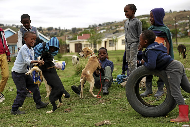 Children arrive with their dogs for dog training in Mpophomeni, near Howick, where a businessman is building a home for a family of seven.