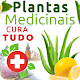 Download Fitoterapia.io:Plantas medicinais e seus usos For PC Windows and Mac 0.0.2