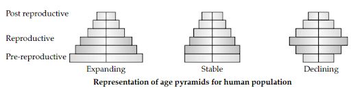 Solution Image