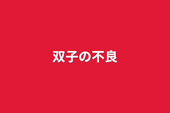 「双子の不良」のメインビジュアル