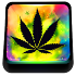 Colored Rasta Weed Keyboard2.1