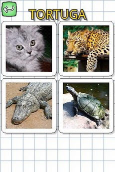 スペイン語の動物のおすすめ画像4