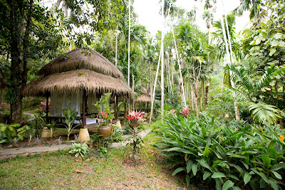 Walk in the big garden with indigenous species of flora and fauna