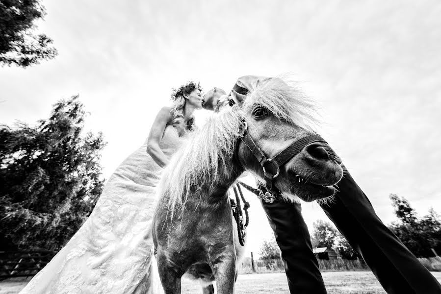 Huwelijksfotograaf Pino Romeo (pinoromeo). Foto van 27 juli 2017