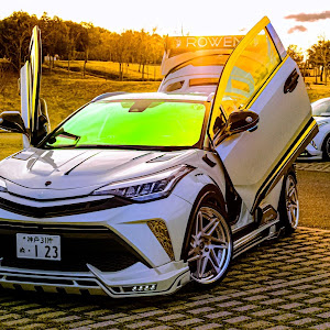 C-HR ZYX11