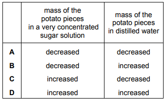Some pieces of potato were placed in a very concentrated sugar solution. ..