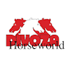 Divoza Horseworld icon