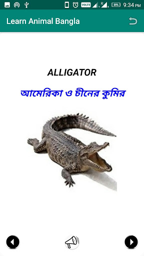 Learn Animal Bangla