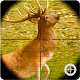 Download Deer Hunter For PC Windows and Mac 1.1